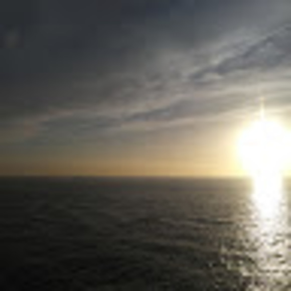 Meet your Posher, E.m. - Picture 1 of 1